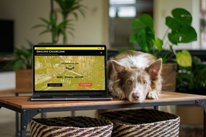 image of a tranquil lakeside setting for a travel agency